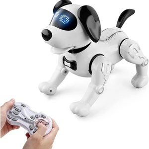 اسباب بازی ربات سگ کنترلی مدل JJRC R19 Remote Control Robot Dog Toy _اسباب بازی ربات